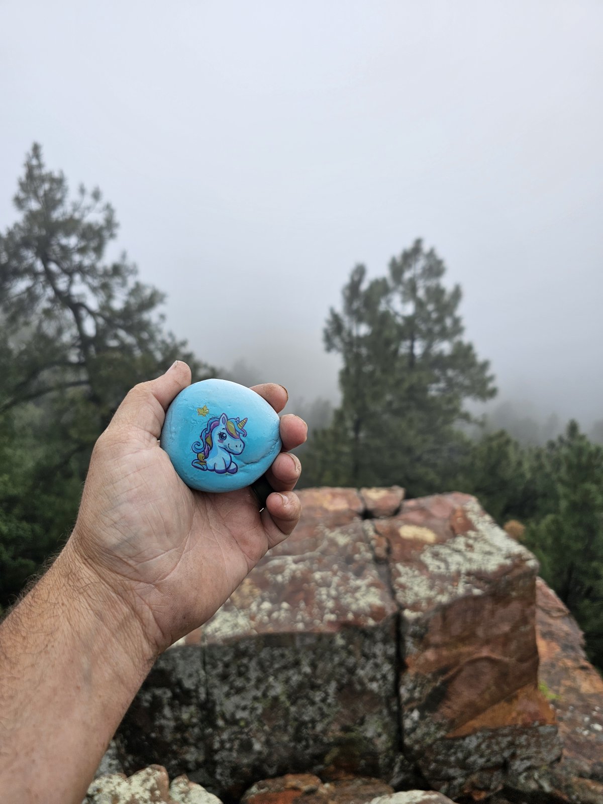 The rock