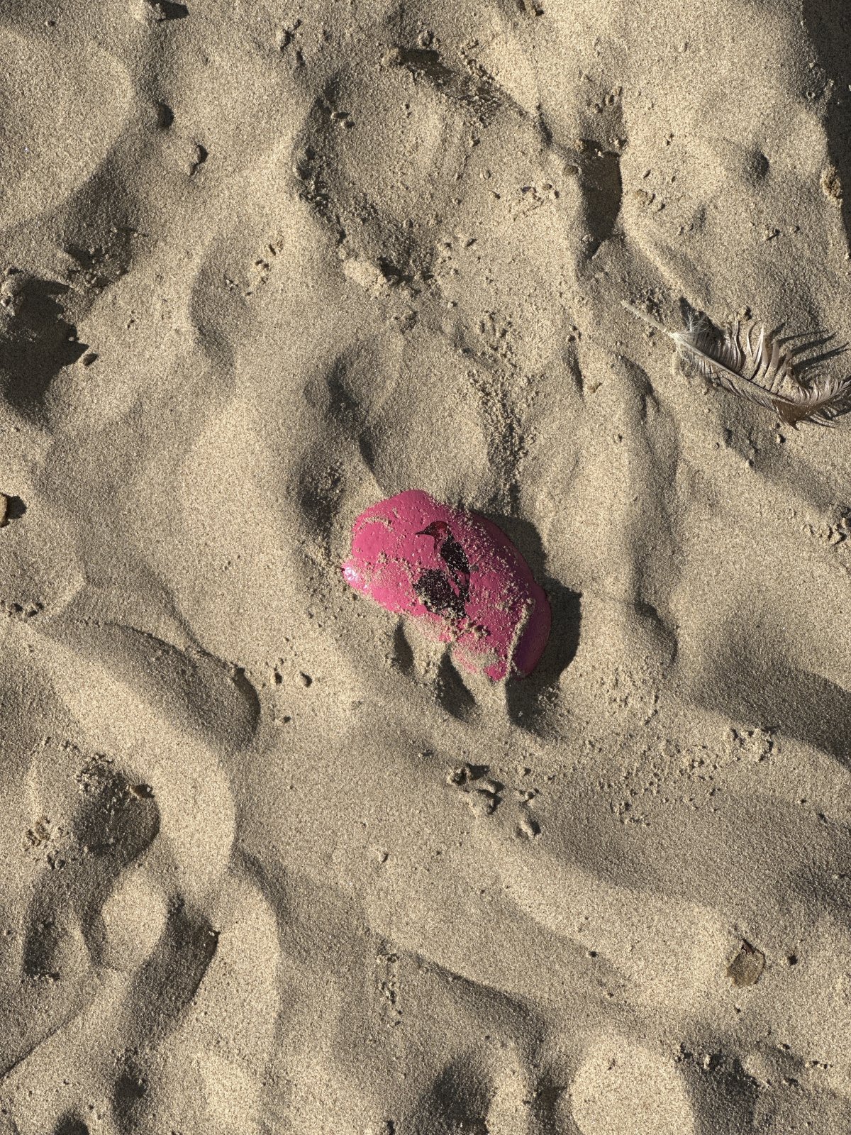 Rock close-up