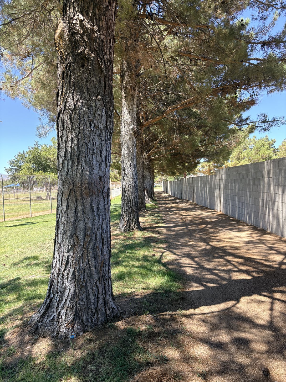 Centennial Park, Harrison Street, Kingman, AZ, USA