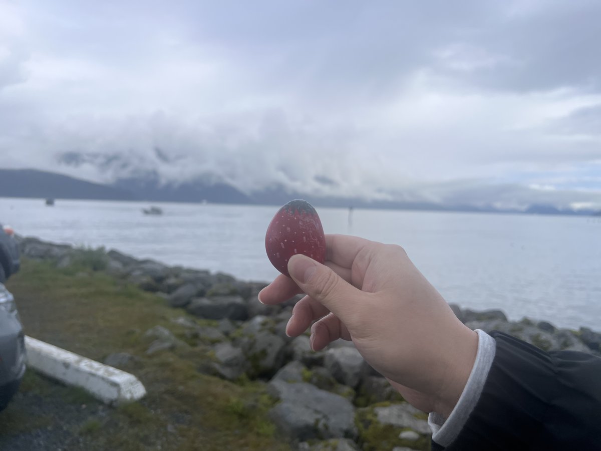 Seward, AK, USA
