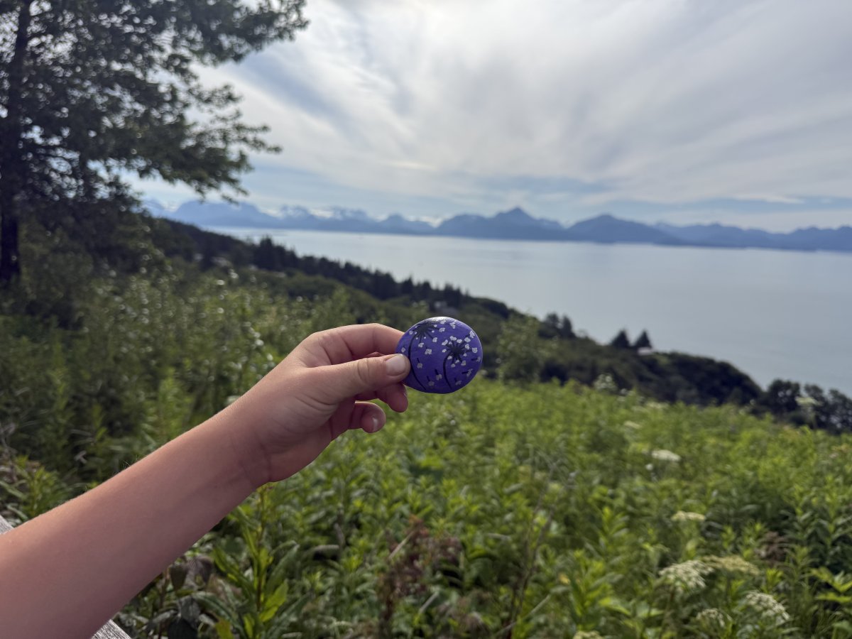 Overlooking Homer AK