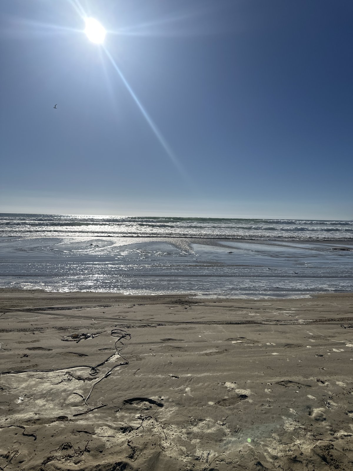 Pismo Beach, CA, USA